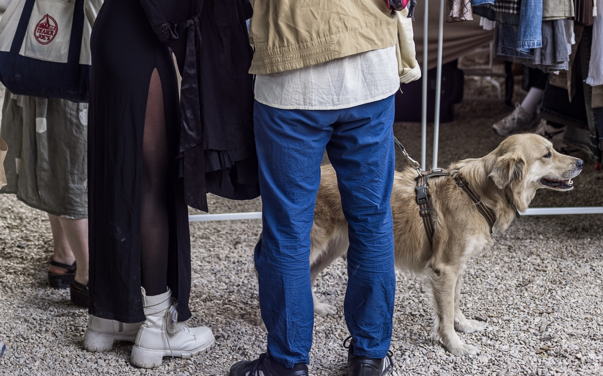 Terrain Vague : Dog Fest by Lump x Jardin21 ༯