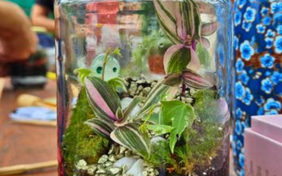 Atelier terrarium - EcoNature