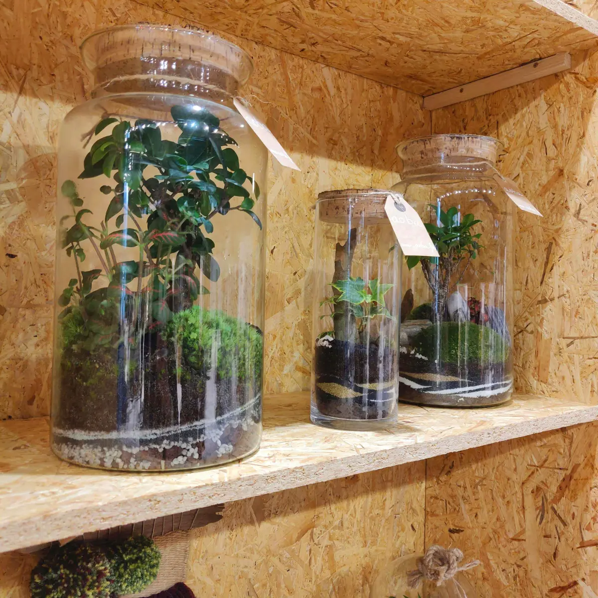 Aoba, les objets vivants vous entourent