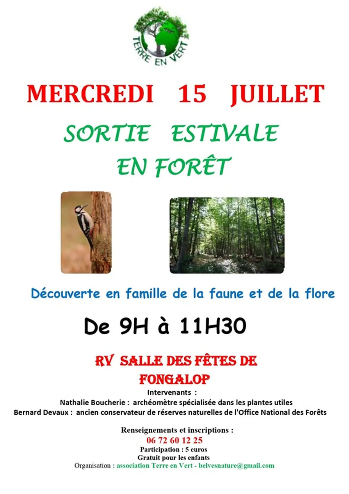 Terre en vert : sortie estivale en forêt