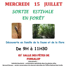 Terre en vert : sortie estivale en forêt