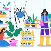 Terre en vert : Troc de plantes