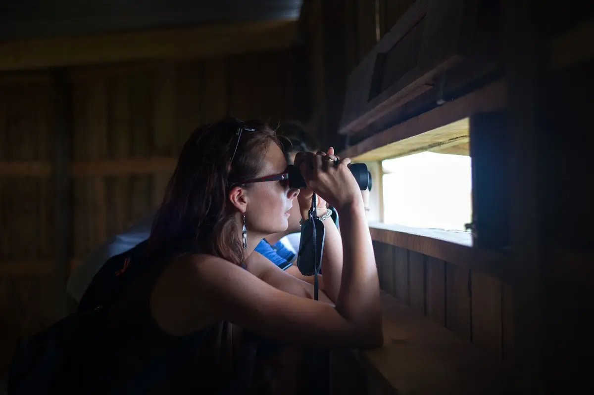 Observation des oiseaux migrateurs 