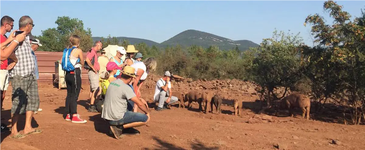 Terroir, Géologie Et Paysage Du Salagou