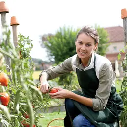 Pourriez-vous devenir locavore ? Faites le test !