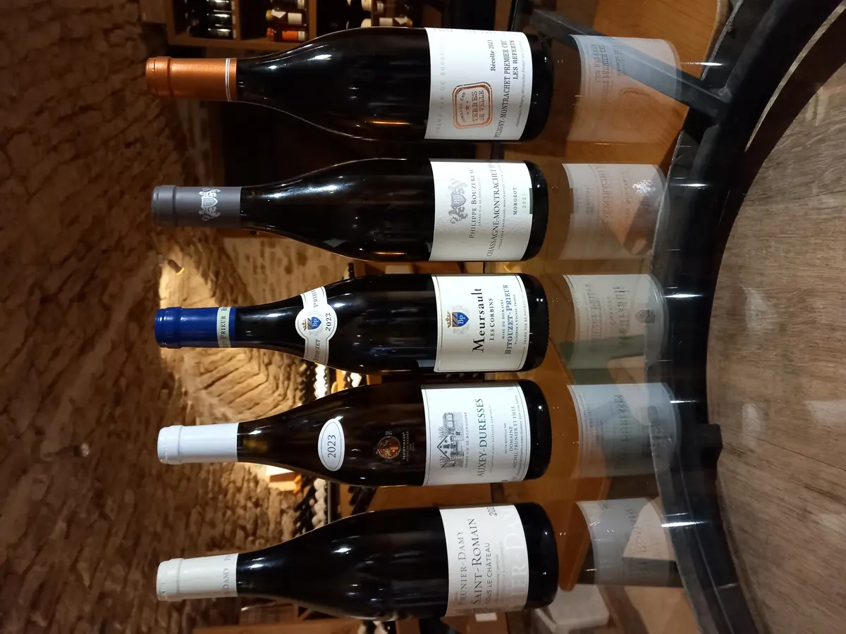 Test sensoriel autour des grands blancs...