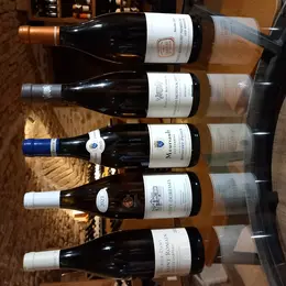Test sensoriel autour des grands blancs...