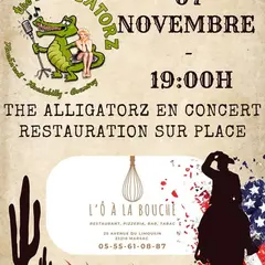 The Alligatorz en Concert