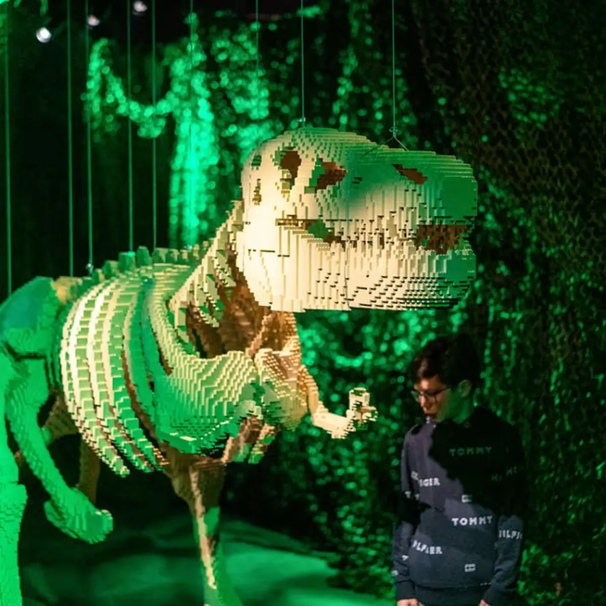 The Art of the Brick : Exposition d'art en LEGO®
