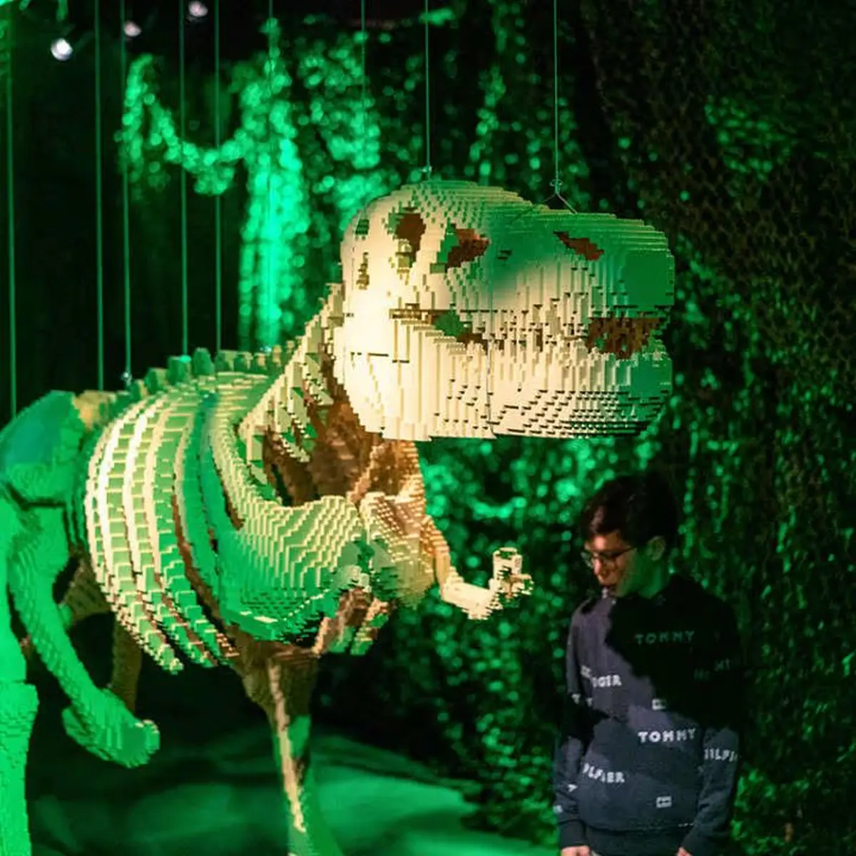 The Art of the Brick : l'exposition d'art en LEGO® à Nantes