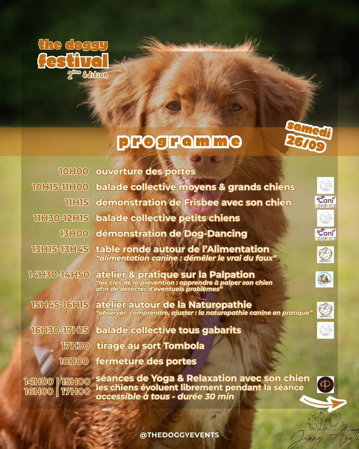 The doggy festival