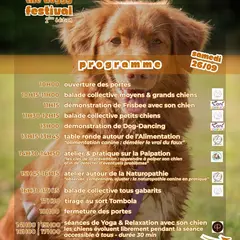 The doggy festival