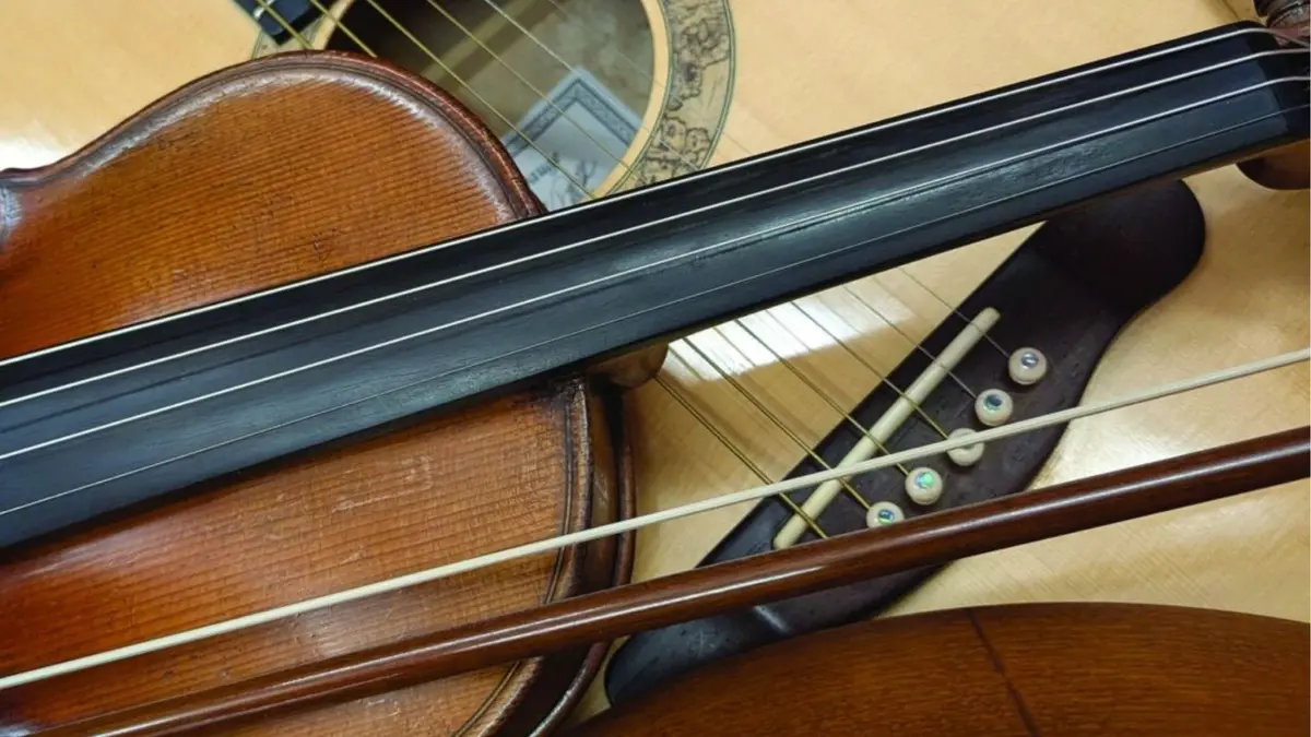 The green ladys and the guys : Atelier de musique irlandaise