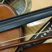 The green ladys and the guys : Atelier de musique irlandaise