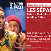 Théâtre à Pau - Les séparables (spectacle famille)