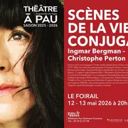 Théâtre à Pau - Scènes de la vie conjugale