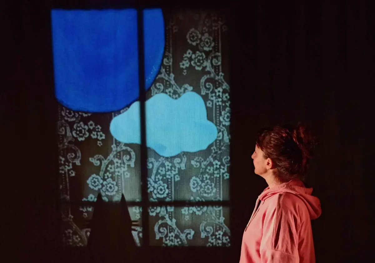 Théâtre : Ce qui me passe par la fenêtre à Vire Normandie