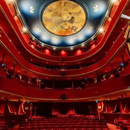 Théâtre : Cochons d'Inde