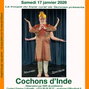 Théâtre - Cochons d'Inde