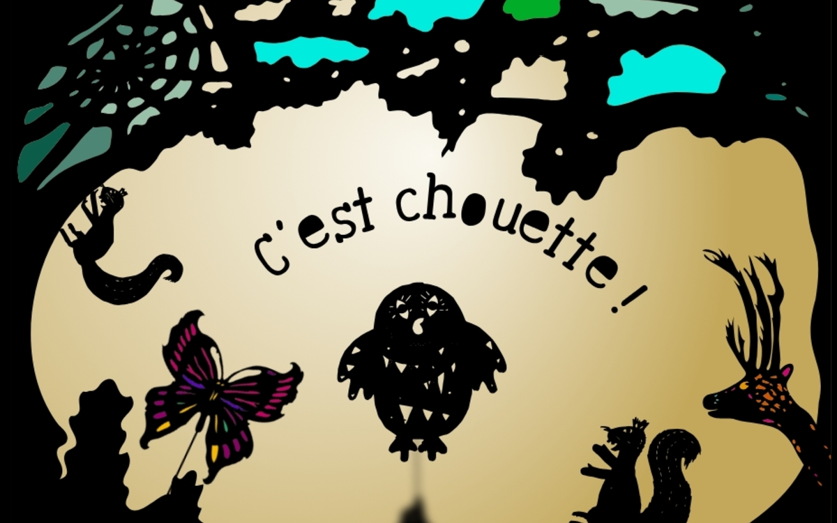 Théâtre d'ombres : C'est chouette !