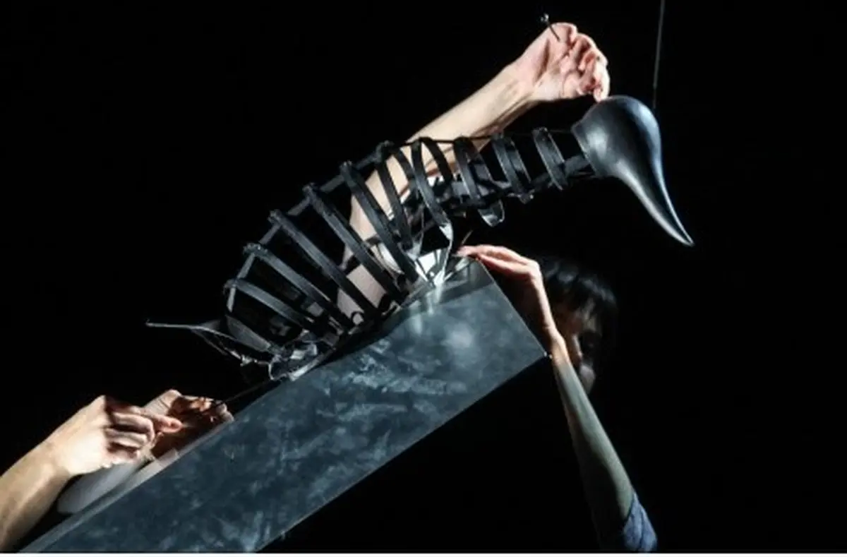 Théâtre de l'Usine - Le complexe du pingouin – Cie Le Mouton Carré