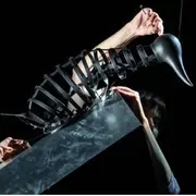 Théâtre de l'Usine - Le complexe du pingouin – Cie Le Mouton Carré