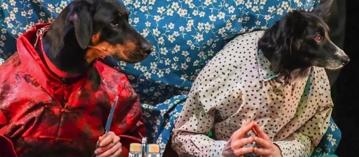 Théâtre de l'Usine - Ouiiii Cie des Plumés