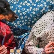 Théâtre de l'Usine - Ouiiii Cie des Plumés