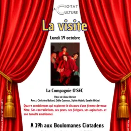 Théâtre de Poche - La Visite