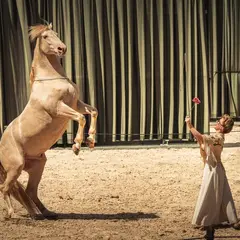 Théâtre équestre Hors(e) série - notes en cavale