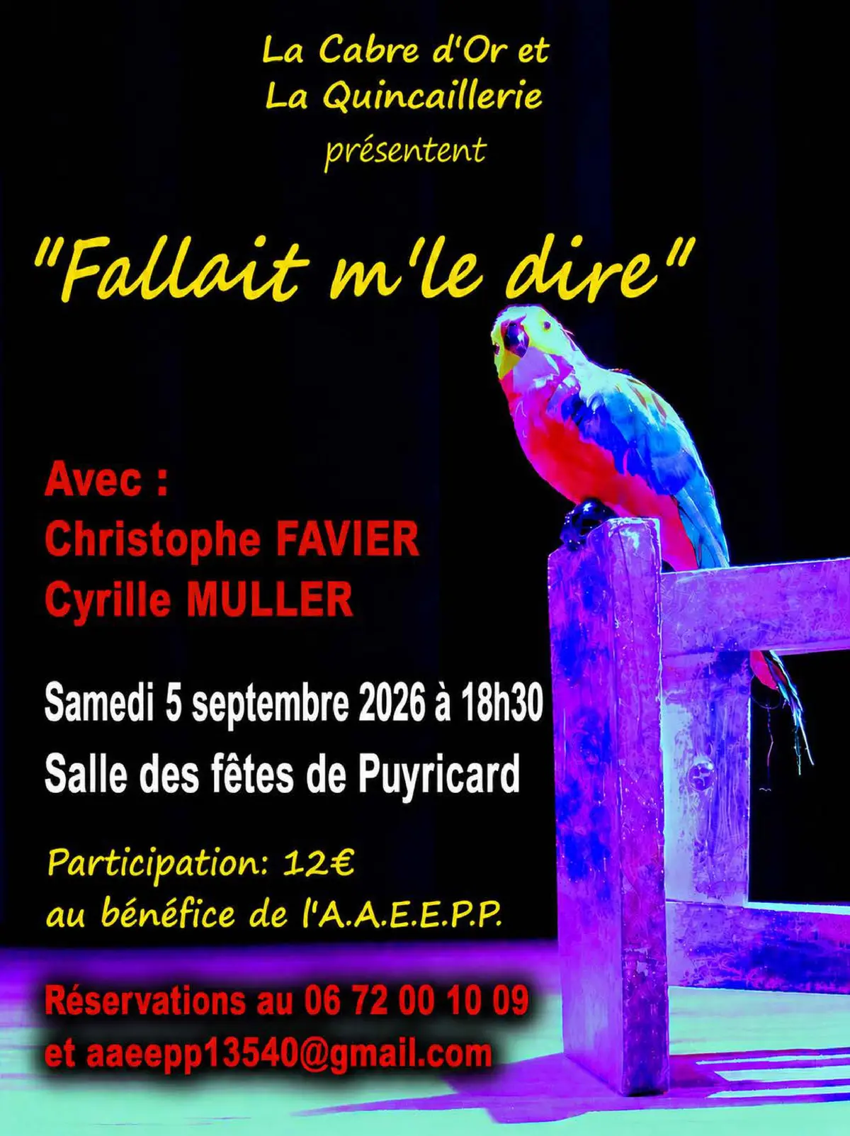 Théâtre - Fallait m'le dire