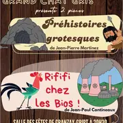 Théâtre La Compagnie du Grand Chat Gris à Granzay-Gript