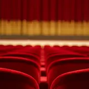 Théâtre - Le cochon d'Inde