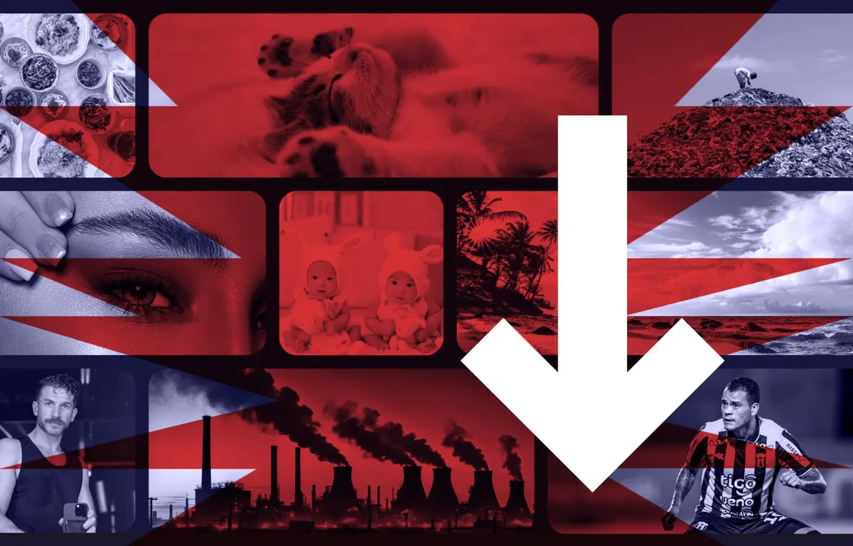 Théâtre le Paradis : Scroll