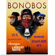 Théâtre - Les Bonobos