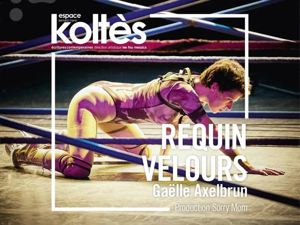 Théâtre - Requin Velours