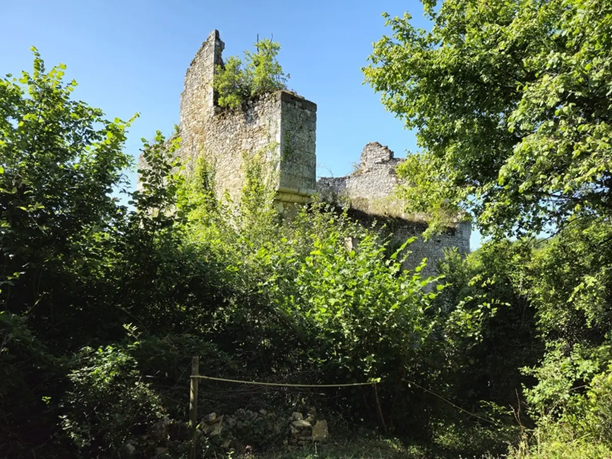 Théâtre : Shakespeare dans le parc La Tempête
