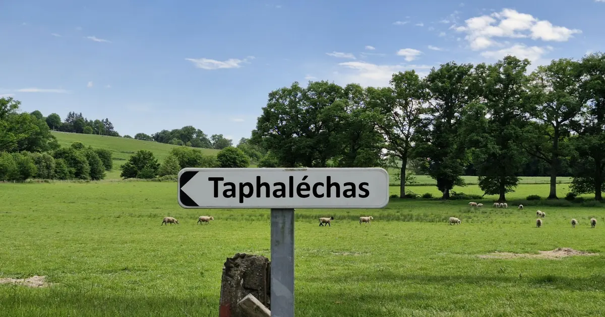 Théâtre "Taphaleschas" - Expression 7 - Limoges