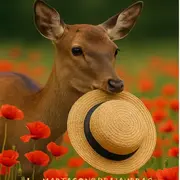 Théâtre : Un chapeau de paille d'Italie par la troupe des Martagons de l'Aubrac