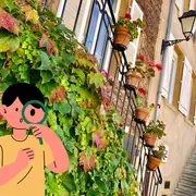Théodon sur les traces des vignerons