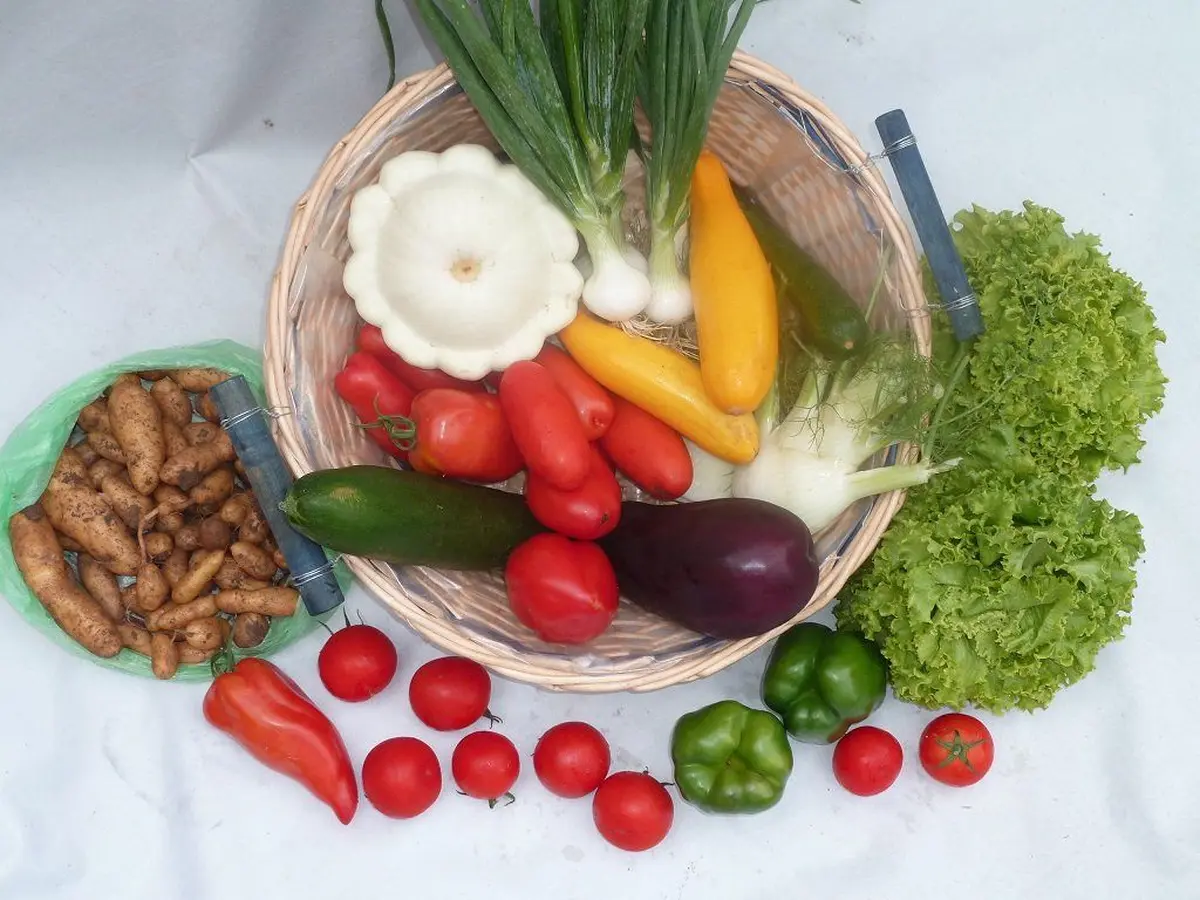 ThurAmap Wittelsheim