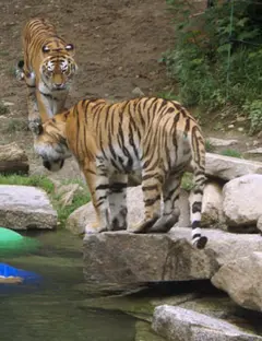 Nausicaa - Centre National de la Mer