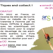 Tiques and collect ! - sortie CPIE