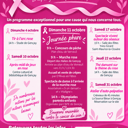 Tir à l'arc rose