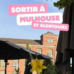 Top 5 des idées sorties pour ce week-end à Mulhouse (du 12 au 14 juin 2026)