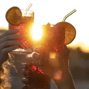Top 5 des sorties ce week-end à Bordeaux pour échapper à la chaleur caniculaire  ☀️