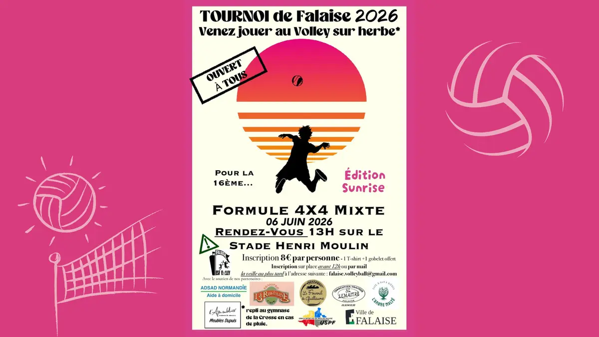 Tornoi de Volley-ball sur herbe