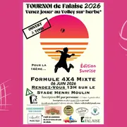 Tornoi de Volley-ball sur herbe