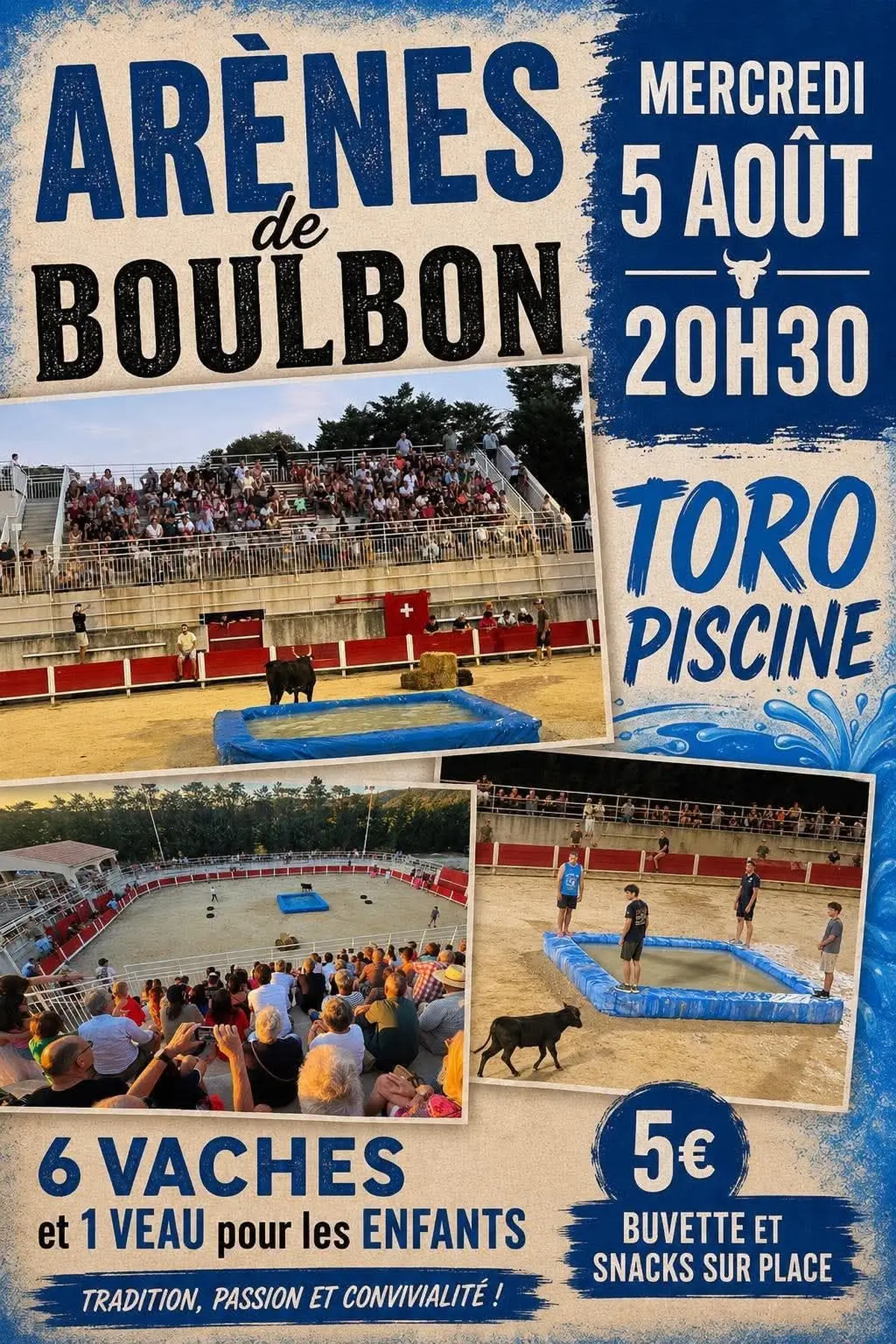 Toro Piscine