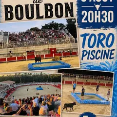 Toro Piscine